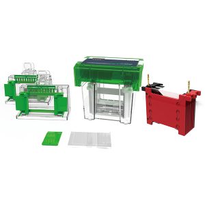 מערכת אלקטרופורזה ובלוטנינג הכל באחד