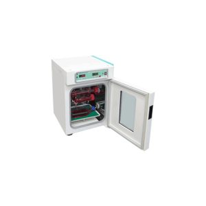 אינקובטור היברידיזציה