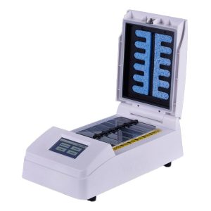 מערכת הכלאה