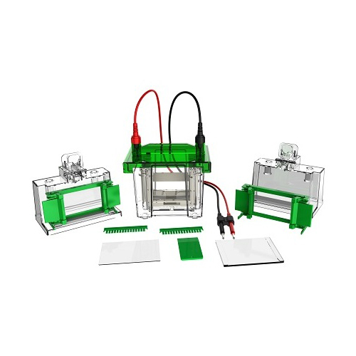 תא אלקטרופורזה אנכי מיני תא אלקטרופורזה אנכי מיני