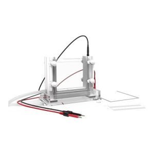 תא אלקטרופורזה אנכי